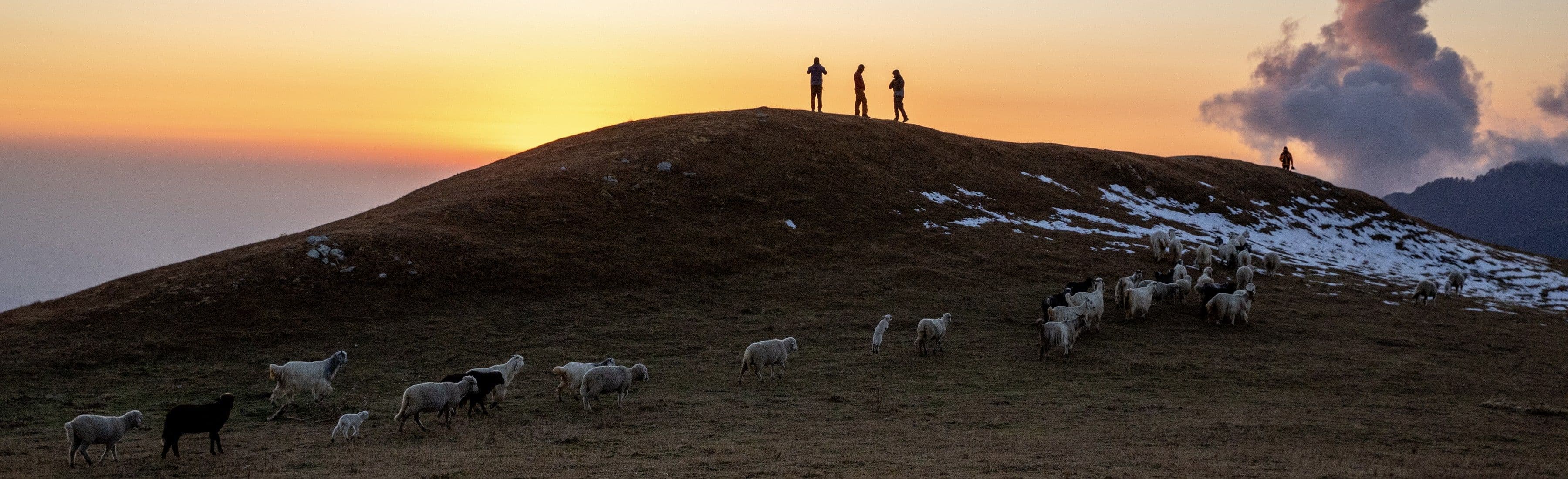paragliders hero image