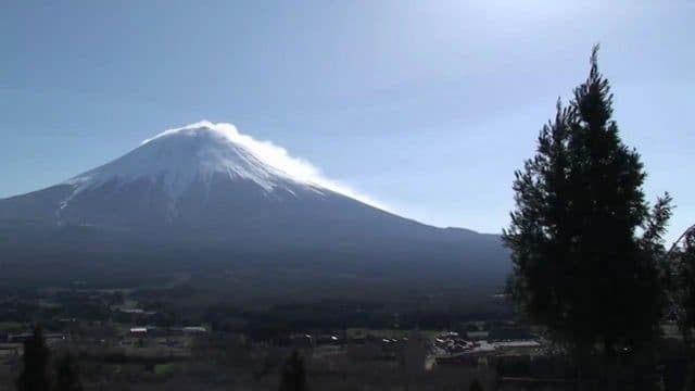 Ozone in Japan, 2008