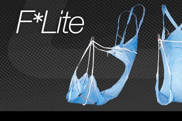 Introducing the F*Lite