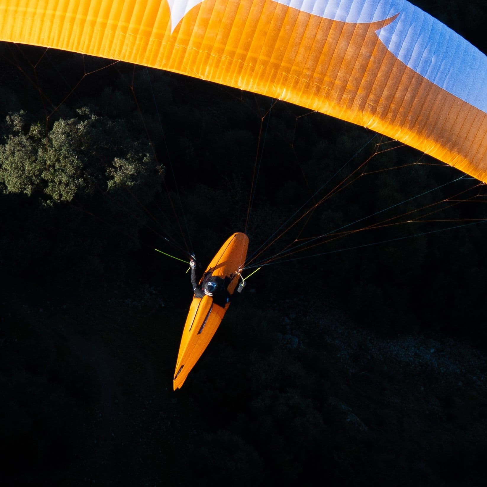 本格的なクロスカントリーおよびコンペ